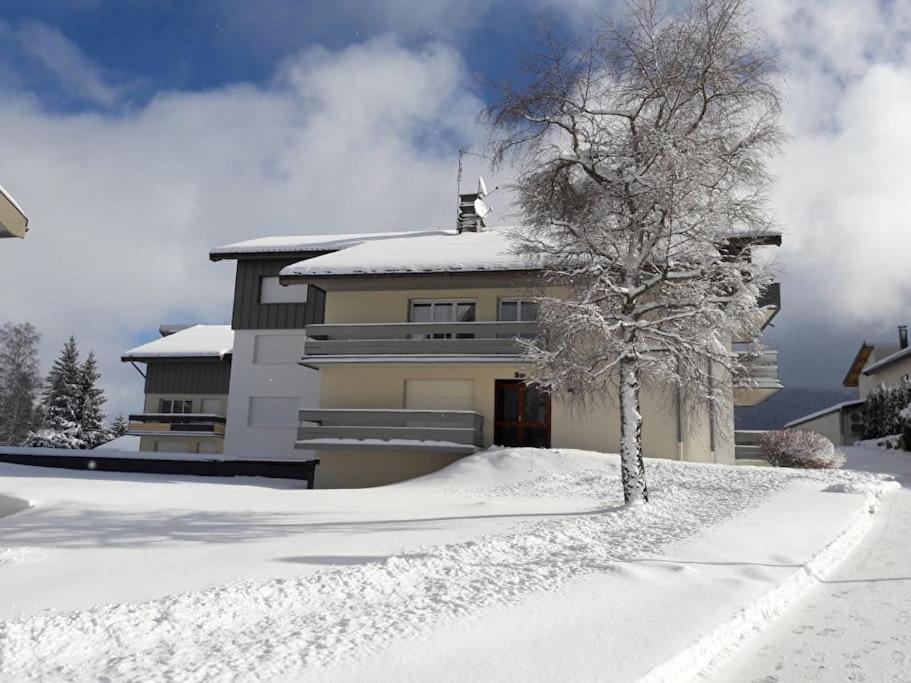 Le Chalain Cosy Proche Centre Ville Les Rousses Kültér fotó